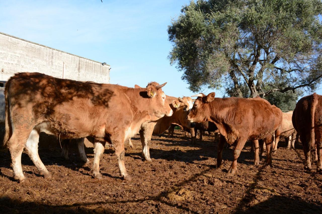 Masseria Rifisa Agriresort Caprarica di Lecce Zewnętrze zdjęcie
